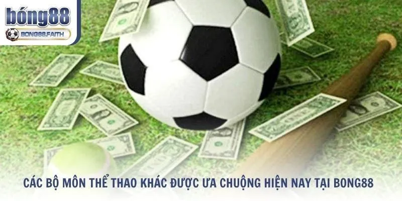 Các bộ môn thể thao khác được ưa chuộng tại Bong88