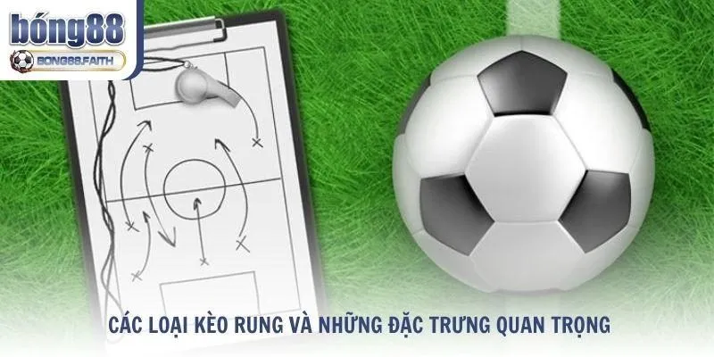 Các loại kèo rung Bong88 và những đặc trưng quan trọng