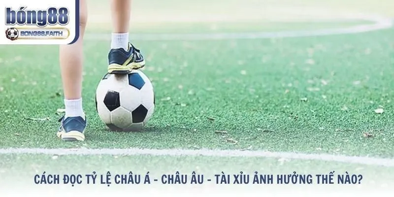 Cách đọc tỷ lệ châu Á – châu Âu – tài xỉu ảnh hưởng thế nào?