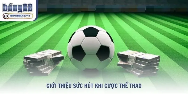 Giới thiệu sức hút khi cược thể thao cho thành viên