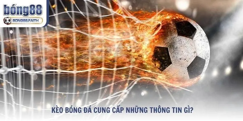Kèo bóng đá cung cấp những thông tin gì?