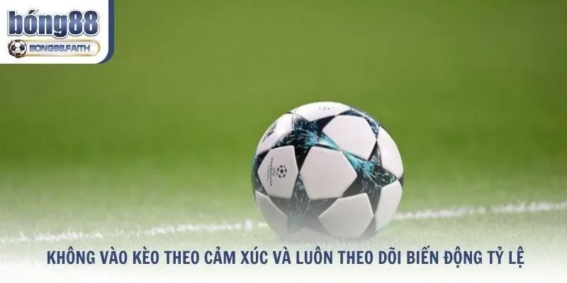 Không vào kèo theo cảm xúc và luôn theo dõi biến động