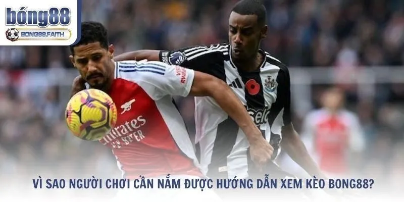 Lý do người chơi cần nắm được hướng dẫn xem kèo Bong88?