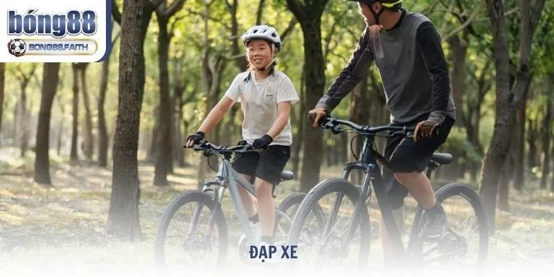 Môn thể thao Đạp xe hấp dẫn