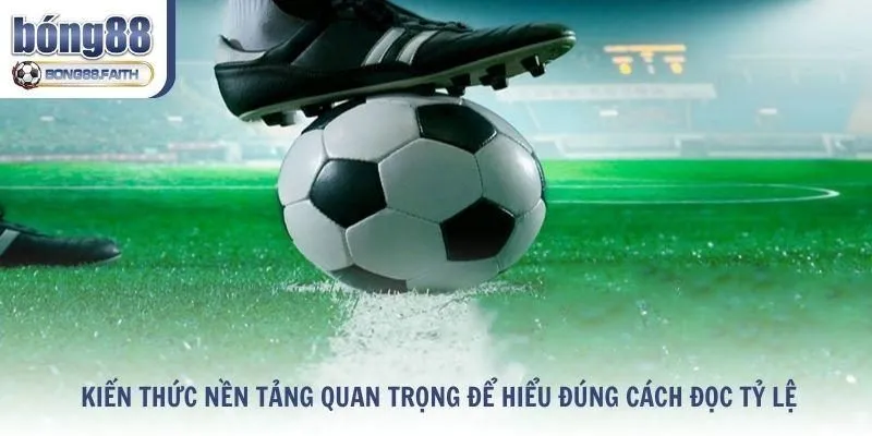 Những kiến thức nền tảng quan trọng để hiểu đúng cách đọc tỷ lệ kèo