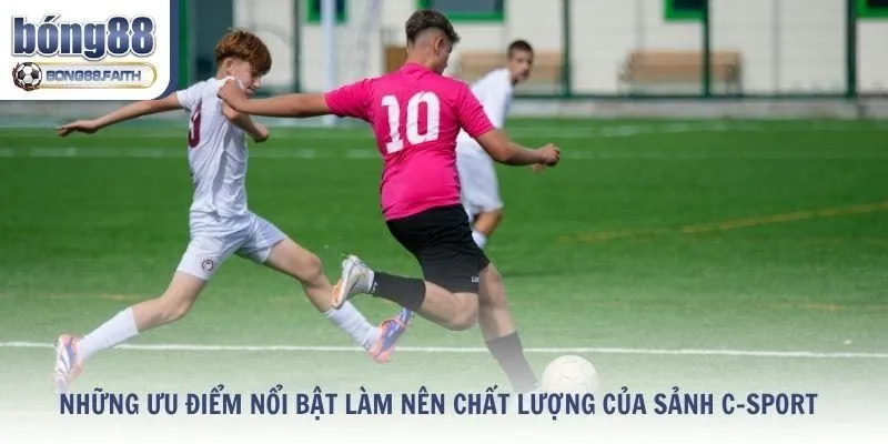 Những ưu điểm nổi bật làm nên chất lượng của sảnh C-Sport