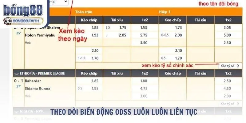 Theo dõi biến động odss luôn luôn thay đổi liên tục