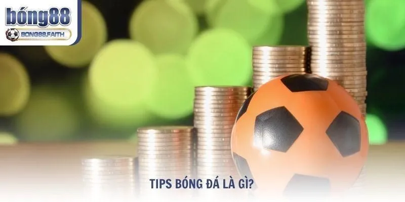 Tìm hiểu Tips bóng đá là gì?