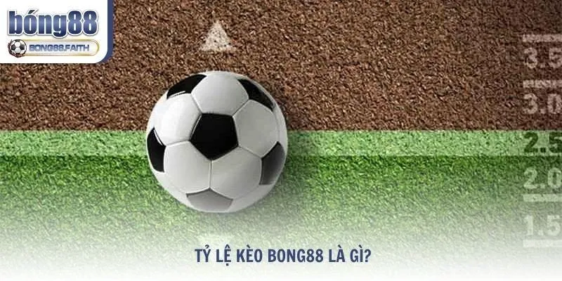 Tìm hiểu tỷ lệ kèo Bong88 là gì?
