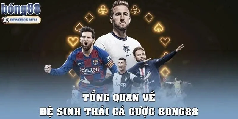 Tổng quan về hệ sinh thái cá cược Bong88