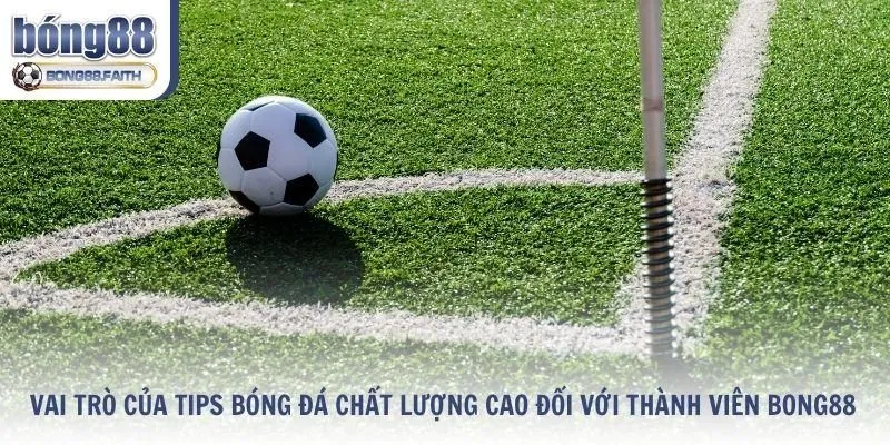 Vai trò của tips bóng đá chất lượng cao đối với thành viên
