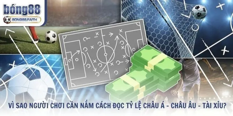 Vì sao người chơi cần nắm được cách đọc tỷ lệ châu Á – châu Âu – tài xỉu?